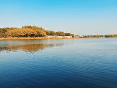 -大兴滨河森林公园