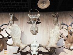 -陕西自然博物馆