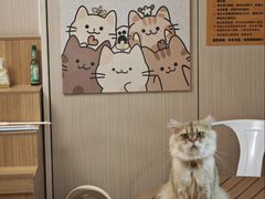 -唐小姐の私宠·宠物洗护美容·撸猫馆·购宠(周浦万达旗舰店)