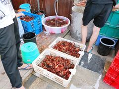 -庾氏龙虾馆(多弗汇店)