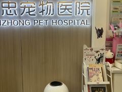 -瑞派·关忠动物医院·猫专科·犬专科(三环新城店)