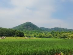 -八卦田遗址公园