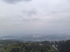 -大金鹰园