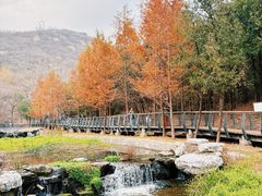 -白水寺森林公园