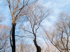 -颐和园