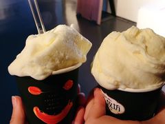 -野人牧坊Gelato(天津南开大悦城店)