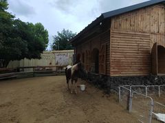 -HERRE·FARM 赫尔露营农场·团建聚会包场