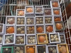 -蓝湾碧波·老字号·疍家非遗海上餐厅