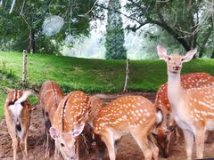 -北京野生动物园