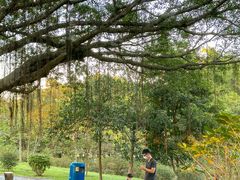 -东莞植物园