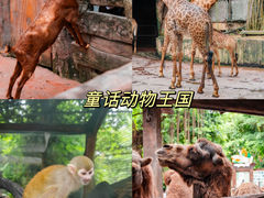 -长鹿旅游休博园