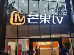 -圣爵菲斯大酒店(长沙世界之窗店)