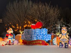 -沈阳奥体冰雪嘉年华