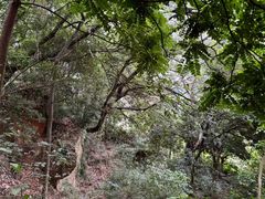 -青芝山风景名胜区