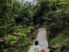 -火炉山森林公园