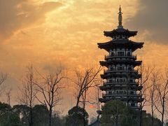 -洋湖国家湿地公园