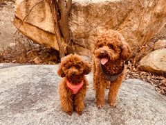 -碓臼峪自然风景区