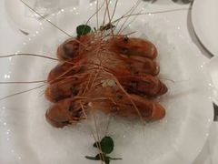 -南麓·浙里(外滩店)