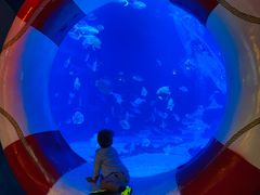 -烟台海昌鲸鲨海洋公园