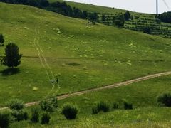 -塞罕坝国家级自然保护区