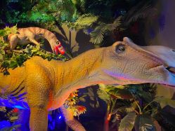 -恐龙探索乐园(磁器口店)