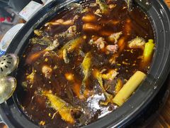 -金海椒罐罐鲢鱼(东方桂苑店)