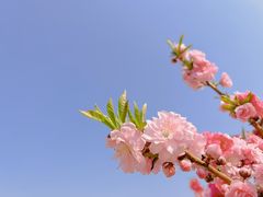 -国家植物园
