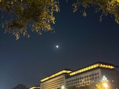 -内蒙古驻京办餐厅