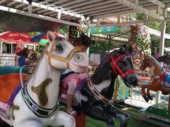 -朝阳公园游乐园