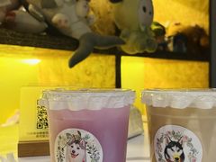 -Husky Go! 哈士奇体验馆·宠物咖啡厅狗咖