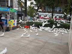 -成都华侨城欢乐里