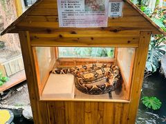 -上海大自然野生昆虫馆