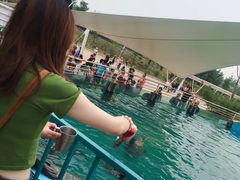 -北戴河圣蓝海洋公园