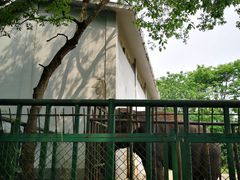-合肥野生动物园