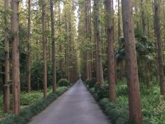 -上海怡沁园度假酒店