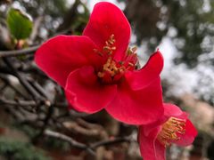 -成都市文殊院
