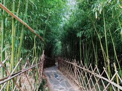 -竹子庵公园