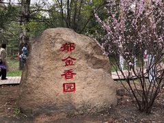 -黑龙江省森林植物园