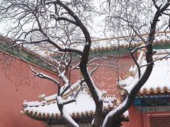 -故宫博物院(故宫)