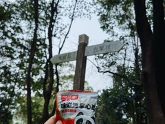 -火炉山森林公园
