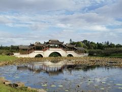 -上海海湾国家森林公园