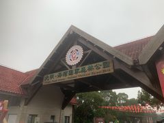 -上海海湾国家森林公园