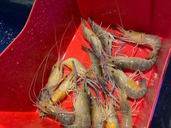 -钳真多钓虾馆·小龙虾海鲜烧烤(九六广场店)