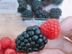 -盒马X会员店(上海森兰商都店)