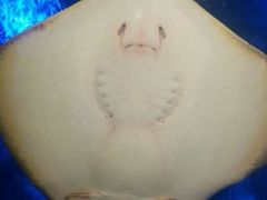 -北海·海洋之窗