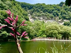 -少华山国家森林公园