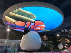-龟与熊猫宠物公园(南坪店)