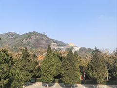 -龙口南山旅游景区