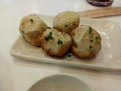 鲜肉生煎-咬不得高祖生煎·简餐(高银街店)