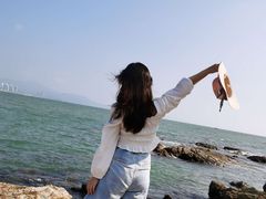 -广东惠东海龟国家级自然保护区